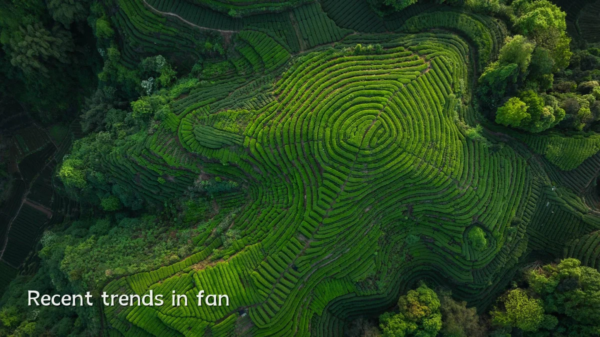 Recent trends in fan