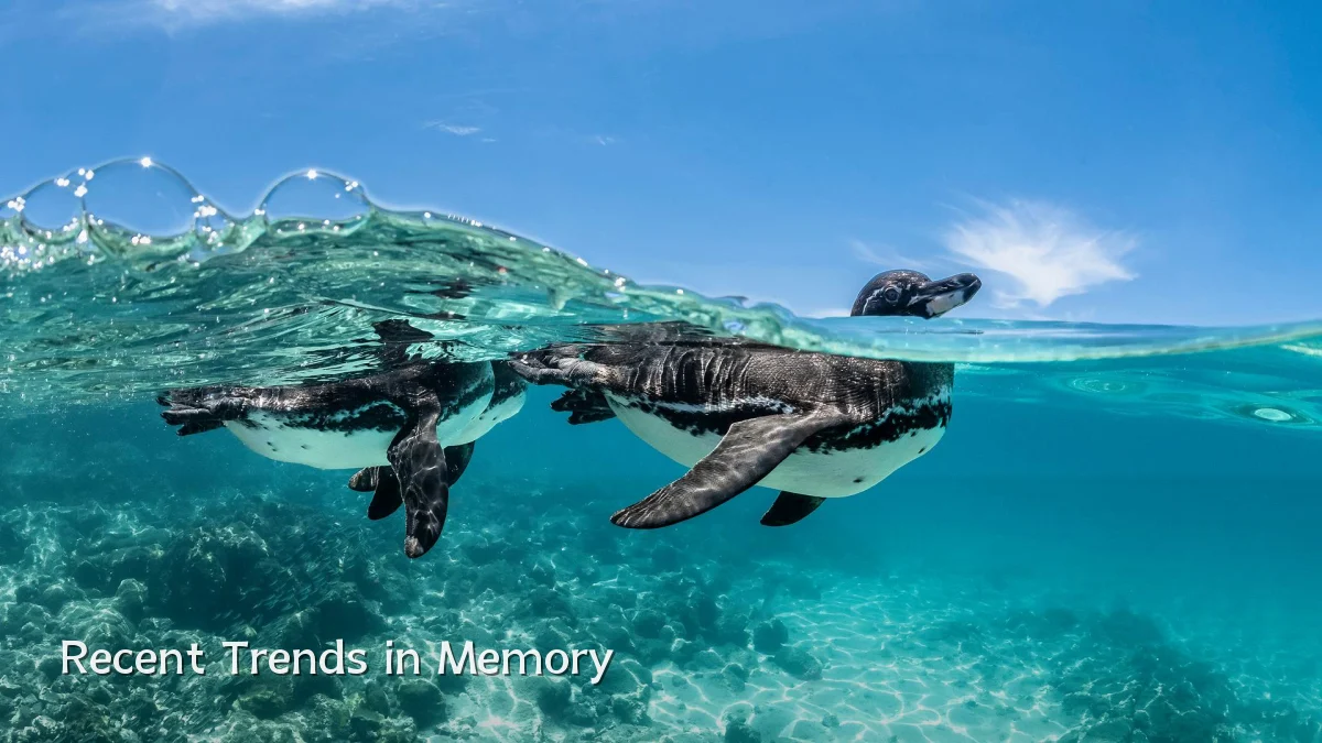 Recent Trends in Memory