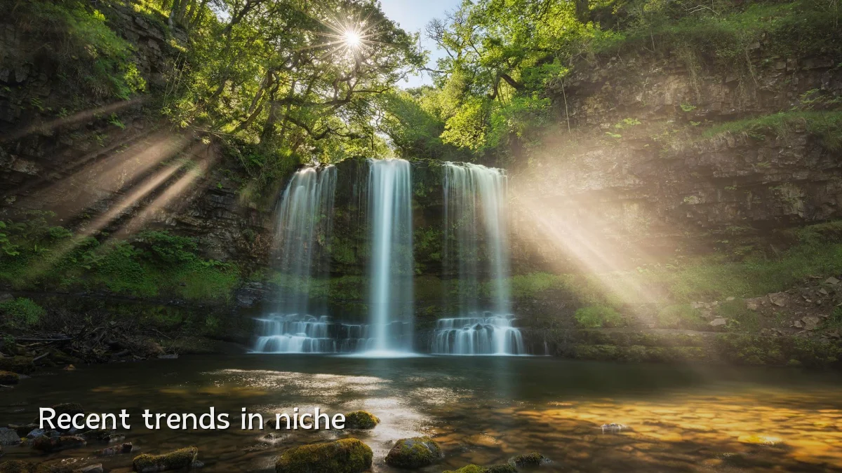 Recent trends in niche