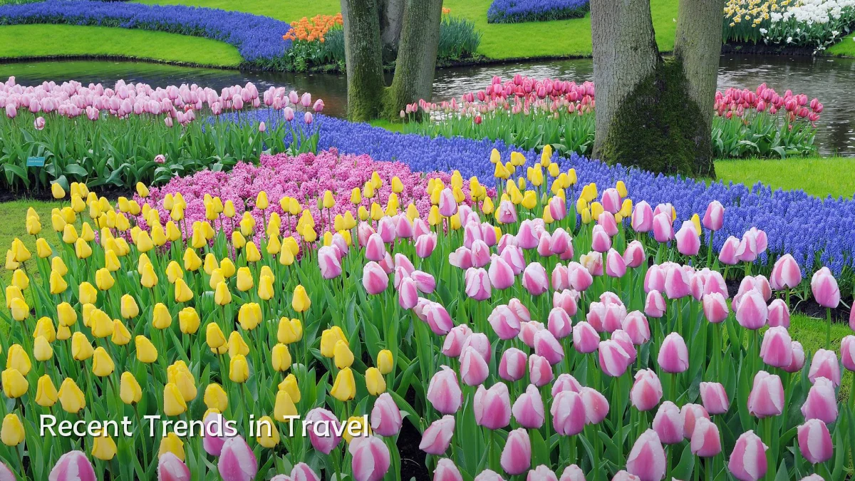 Recent Trends in Travel