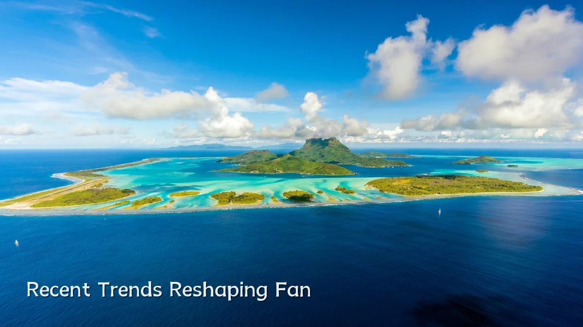 Recent Trends Reshaping Fan